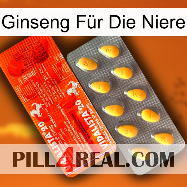 Ginseng Für Die Niere new01.jpg
